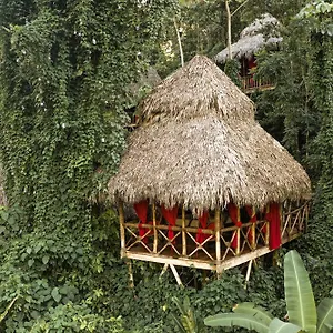 ** Resort Dominican Tree House Village República Dominicana